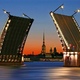 Александр Санкт- Петербург заказ кактусов - отзыв